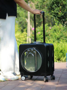 Pet Trolley Bag & Portable Travel Suitcase: Essential Luggage for Your Furry Friends