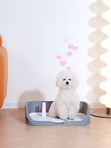 Heightened Dog Training Potty Pad (With Stand) Large Size 53cm*45cm*13cm Dog Toilet Pet Toilet Peeing