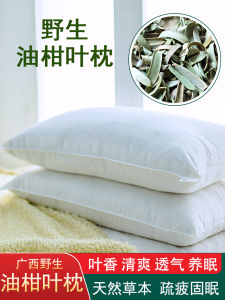 Authentic Guangxi Wild Oil Citrus Leaf Pillow Core Buckwheat Summer Cool Pillow Avocado Oil Sweet Leaf Chinese Medicine Pillow
