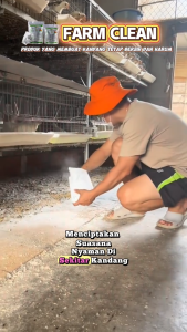 FARM CLEAN Probiotik Tabur Kandang untuk Menghilangkan Bau dan Membunuh Bakteri (500g)