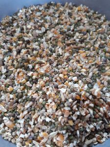 Jagung Campur 1kg Pakan Burung dan Ayam