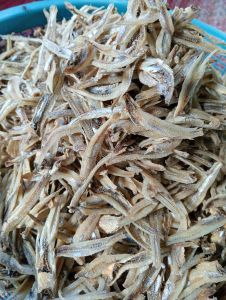 ปลากะตักตักแกะไซรกลาง1กิโล149บาท