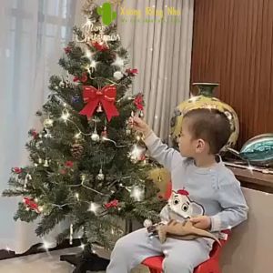 Cây Thông Noel Cao 180cm Full Phụ Kiện Trang Trí Đèn Và Đồ Trang Trí Xương Rồng Nhỏ