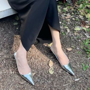 โซล นักเรียน เกาหลี เฉพาะกลุ่ม รองเท้าส้นสูงหัวแหลมผู้หญิง ฤดูร้อน ใหม่ หลากหลาย เดินทางสีเงินส้นบางรองเท้าเดียว