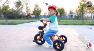 Kids Tricycle Baby Toddler Balance Bike Basikal Roda Tiga Kanak-Kanak Basikal Budak 儿童三轮脚踏车 幼儿学步车 F06