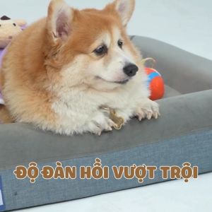 WOWS - Nệm Foam Thú Cưng Chiko - Đệm Ngủ Chó Mèo Cao Cấp - Vỏ Tháo Được Mềm Mại Đàn Hồi - 3 Size S M L
