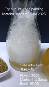 Non-alcoholic Catechin Beer