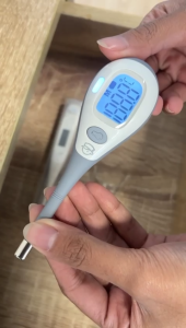 Little Giant 5 Seconds Digital Baby Thermometer