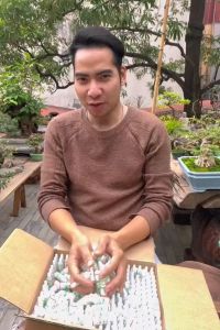 [ Mua 10 tặng 2 ] Combo 10 lọ HB 101 siêu kích rễ phục hồi cây suy nội địa Nhật Bản