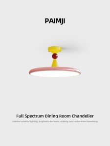 PAIMIJI | Modern Minimalist LED Ceiling Light for Indoor Home Lighting