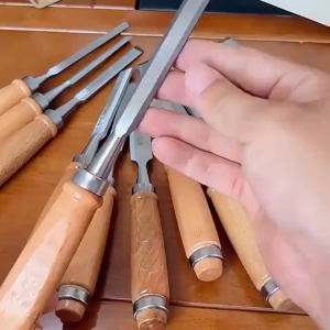 12pcs Professional Manual Wood Carving Hand Chisel Carving Tool Set Suitable for Woodworking Artwor
