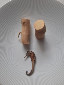 Akar pasak Bumi 2Pcs +1 Pcs Kuda Laut