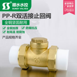 Double Hot Melt Joint One-Way Horizontal Backstop PPR Brass Check Valve Service Pipe 4 Points 6 Points 1 Inch 20 25 32