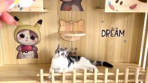 Solid Wood Cat Cage Villa: A Luxurious Indoor Cat Room