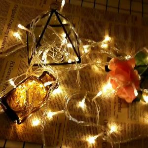 (10 Meter) 100 LED Twinkle Starry Fairy String Decoration Decor Light Lamp Christmas Lampu Raya Warm White Wedding Party