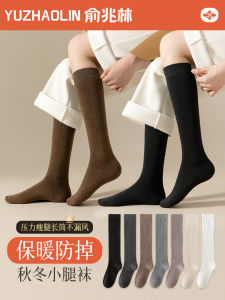 Womens Long Tube Socks Leggings Pressure Shaping Autumn Winter High Tube Half Length Socks Cotton Polyester Spandex Blend