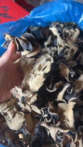 Nấm mộc nhĩ khô (nấm mèo khô) Nguyên tai 100gr / 200gr  - HTX Kim Thanh