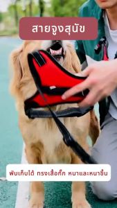 สายจูงสุนัข เสื้อรัดอกสูง เสื้อรัดอกสูงสายจูง การผลิตส่วนผสม ความหมาย พันธุกลาง-ใหญ่ หลายสี หลายไซส์ สายจูงหมา มีแถบสะท้อนแสง ไม่มีเชือก หนังสือเสื้อผ้า