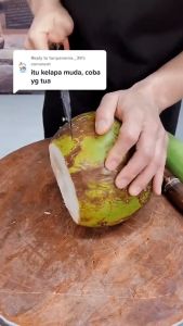 Pisau Daging Dapur Super Tajam Bahan Baja Anti Karat Stainless | Source Project