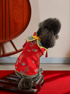 Chinese Style Pet Clothes Dog Sweater Year of Dragon Wedding Ceremony Traditional Hanfu Teddy Bear Bichon Puppy New Year