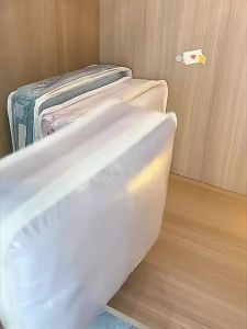 BANGJIAYI | Dust-proof Storage Bag With Compartments and Handle