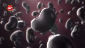 ABC Sweet Soy Sauce in Pouch Packaging 600ml 520ml & 585ml