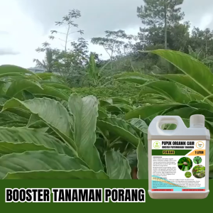 POC Booster Pupuk Tanaman Porang Agar Umbi Tumbuh Lebih Cepat Besar Dan Padat Anti Hama