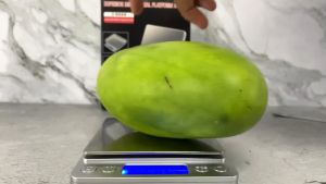 【Local Ship Today】 0.1g Precision LCD Digital Scales 3000g Mini Electronic Kitchen Scale Weighing Scale Baking Penimbang