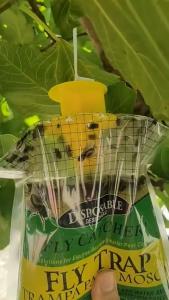 Say Goodbye to Fruit Flies! perangkap lalat buah Stop Flies Before They Damage Fruits! fruit fly trap Suitable for various flies lalat perangkap fruit fly catcher 蒼蠅神器