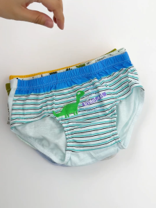 LJMOFA 5 Pcs Kids 100% Cotton Briefs Cartoon Dinosaur Soft and Cozy Underwear for Boy Baby 2-12 Yrs