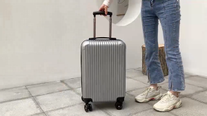 IsleHub 20/24 inch ABS+PC Travel Luggage Premium Fashion Suitcase Luggage travel bag