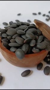 Biji Kedawung Kering | Biji Kedaung - Biji Kedawung 500gr-1kg