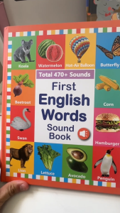 Bilingual Sound Audio Book for Toddlers | 470+ Sounds 21 Themes | Screen-Free Interactive Learning Book | Educational Toy for Kids Ages 1-6