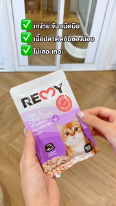 เรมี่ อาหารแมว ปลาทูน่าในน้ำเกรวี่หน้าปลากระพงแดง สูตรบำรุงหัวใจ 48 ซอง (ยกลัง)