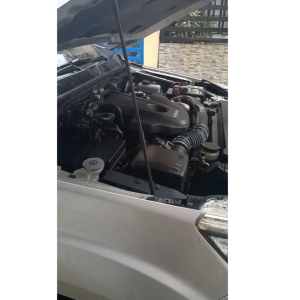 RatAway l Engine Mouse Repellant l Prevent Nest in Car Engines l Safe and Authentic l Long-Lasting l 1 Bottle 250ml