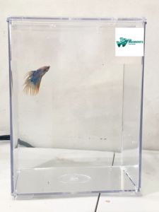 Infinity Stylish Plastic Fish Bowl Square Fish Bowl Aquarium Space Saving Simple Design Square Fish Bowl