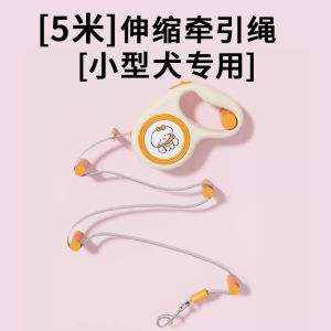 Portable Retractable Leash for Small Dogs like Bichon Dog Walking Rope Pet Leash Compact Size Automatic Extension Dog Chain
