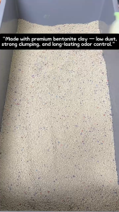 比亿奇 2.0 膨润土猫砂 | 低尘 强结团 除臭 | Bentonite Cat Litter |