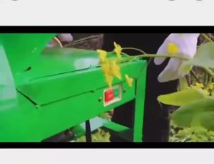 Stainless steel mower Small household 220v mower Agricultural pig mower Agricultural shredder