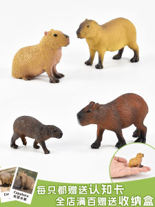 Đồ Chơi Mô Hình Chuột Đuôi Dài Thực Tế Đồ Chơi Động Vật Hoang Dã Đồ Trang Trí Giáo Dục Đồ Chơi Trẻ Em Đồ Chơi Mô Hình Động Vật Nhai