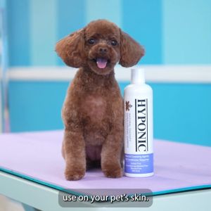 Sữa tắm cho chó cao cấp HYPONIC Hypoallergenic làm dày & phồng lông