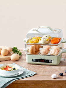 Bear | Mini Home Multi-function Electric Steamer