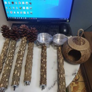 Cầu đứng cho chim vẹt có gắn phụ kiện