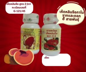 ราก ดอก เห็ดหลินจือ กาโนเอ็กเซล เชตรากดอก90 แคปซุล