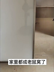 Rat repellent pills with camphor quartz sand mint ginger three-year shelf life suitable for rooms living rooms commercial spaces storage cabinets kitchen cabinets etc.