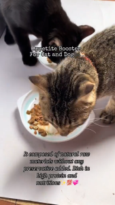 Free 2pcs Pet Sausage Treats Furboost Powder Appetite Booster All Stages Adult Kitten Puppy Pet Esse