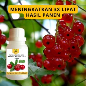 Pupuk Berry Cepat Berbuah / Pupuk Pelebat Buah Berry / Pupuk Booster Berry Cair
