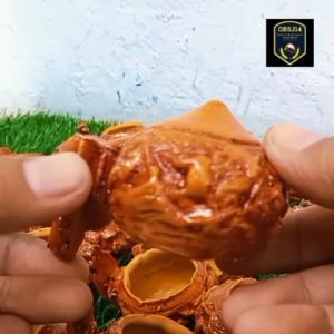 cepuk burung kecil mewah cetakan wadah tempat pakan atau minum burung