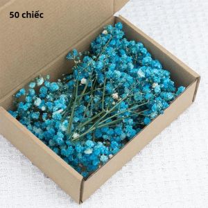 50 Bông Hoa Babys Breath Khô Dùng Làm Bó Hoa & Trang Trí Tiệc Cưới Bình Hoa Tự Làm Cỏ Pampas Trang Trí Nhà Cửa