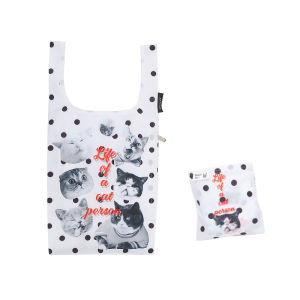 Foldable Double-layered Eco-friendly Shopping Bag